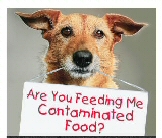 Natural Dog & Cat Food Delivered To Your Door! No Recalls